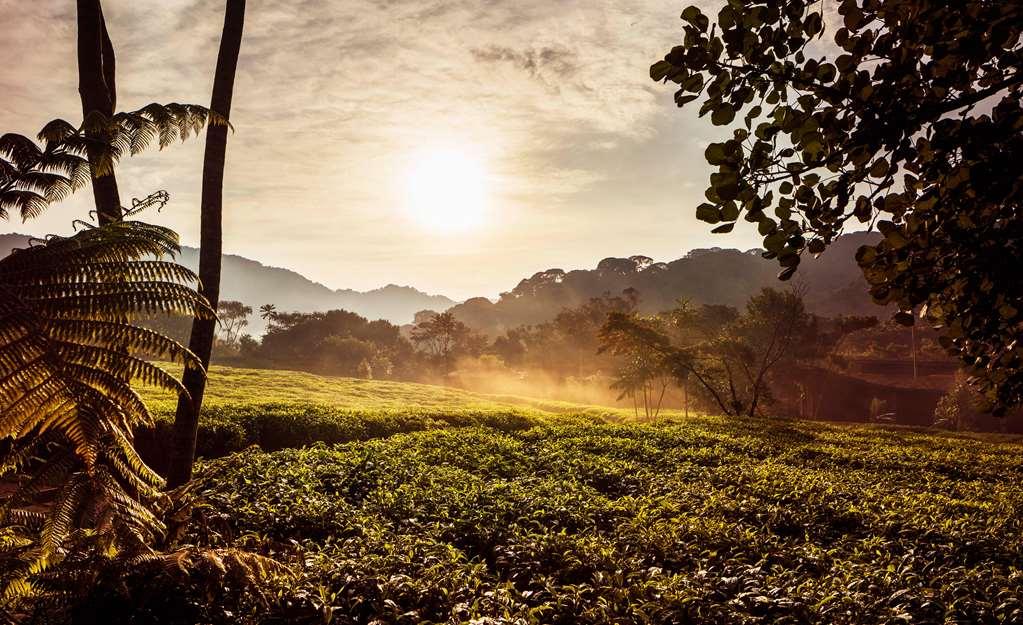 One&Only Nyungwe House Hotel Gisakura Amenities photo